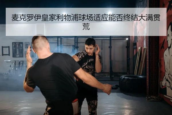 mai-ke-luo-yi-huang-jia-li-wu-pu-qiu-chang-shi-ying-neng-fou-zhong-jie-da-man-guan-huang-2-228.jpg